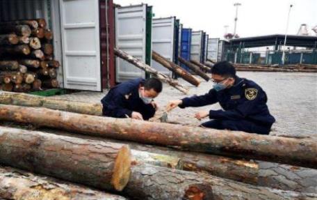 原木木材进口清关流程
